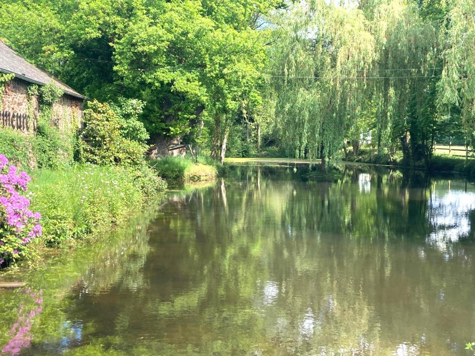 La Demeure Romantique Bazouges-sous-Hede Екстериор снимка